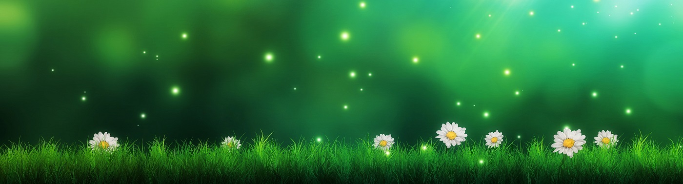 Field of daisies with green background