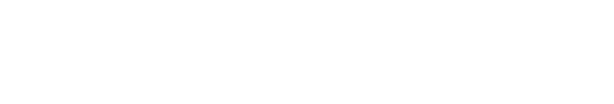 South Carolina Department of Behavioral Health and Developmental Disabilities (BHDD) logo